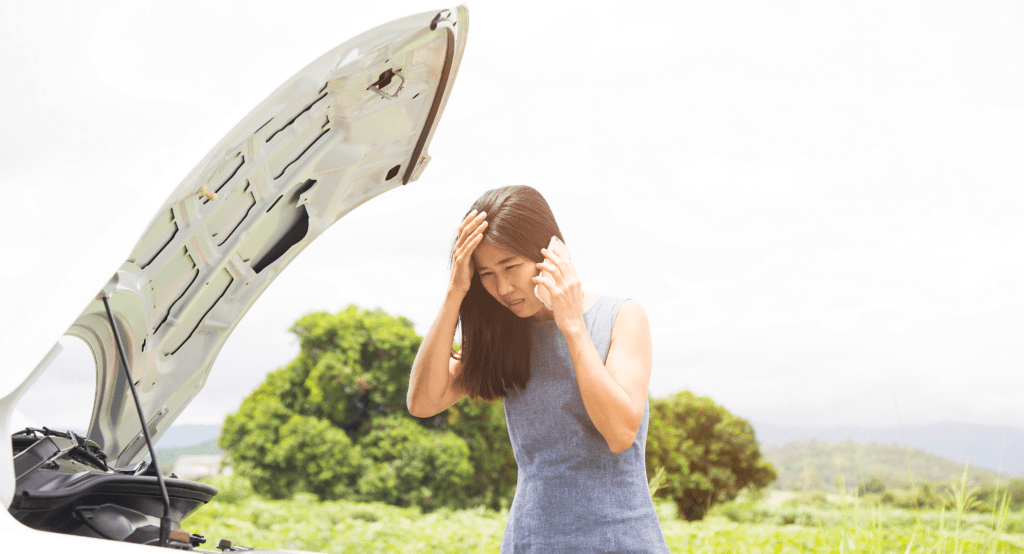 Dealing With Emergency Situations On The Motorway Dealing with Emergency Situations on the Motorway