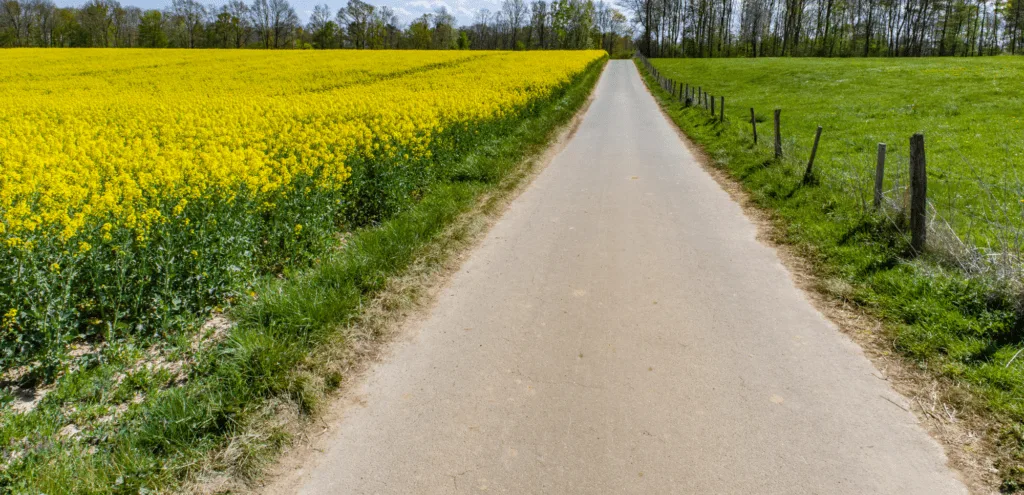 Driving on Rural Roads