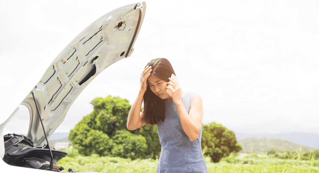 Dealing With Emergency Situations On The Motorway Dealing with Emergency Situations on the Motorway