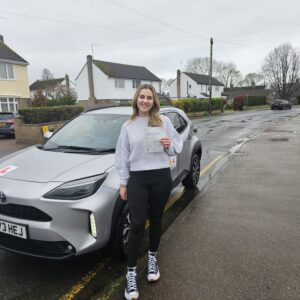 Sergiu Ardelean learner pass